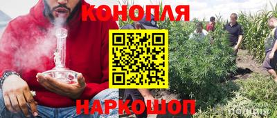 Альфа ПВП Абакан